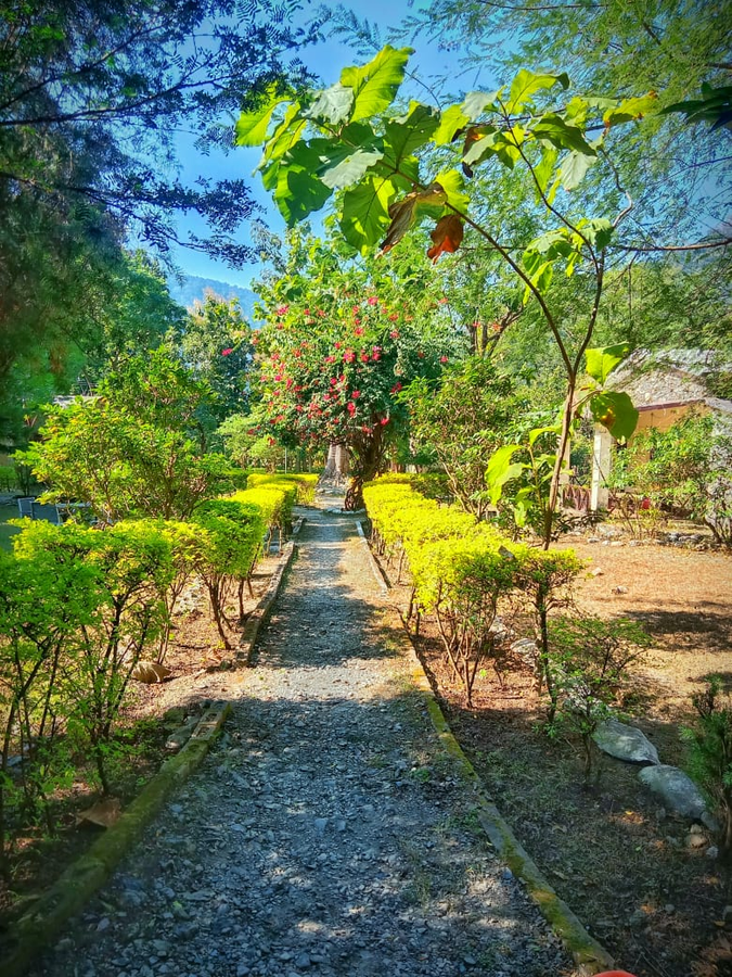 the harikanta corbett resort