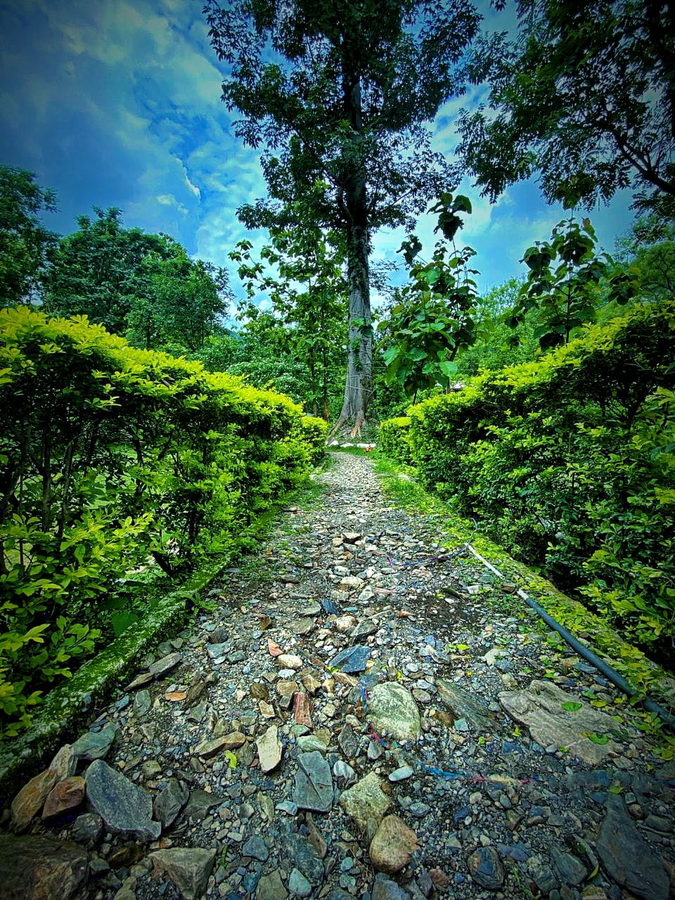 the harikanta corbett resort