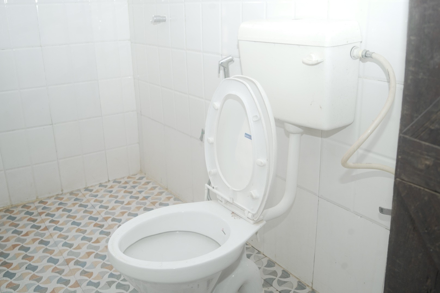 dayabais sal tree homestay