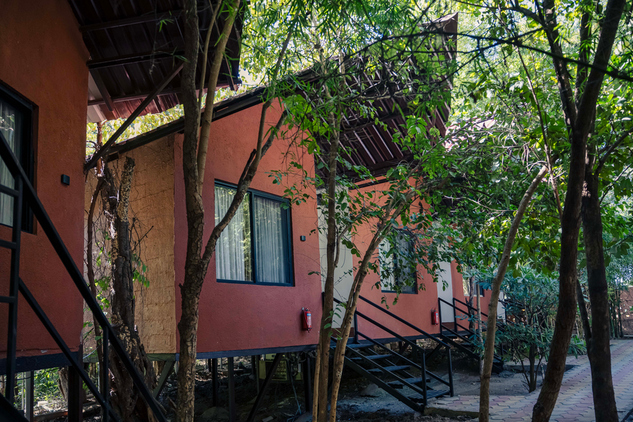 pench wilderness camp