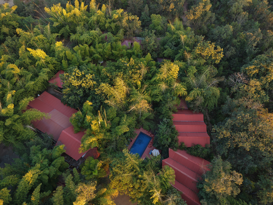 pench wilderness camp