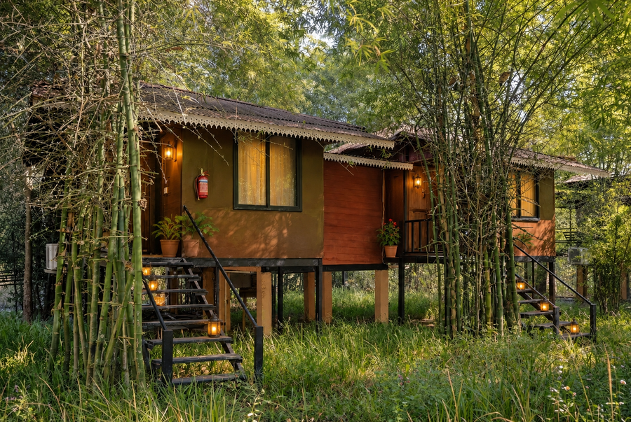 pench wilderness camp