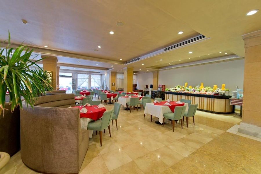 amphoras blu ultra ai adults friendly