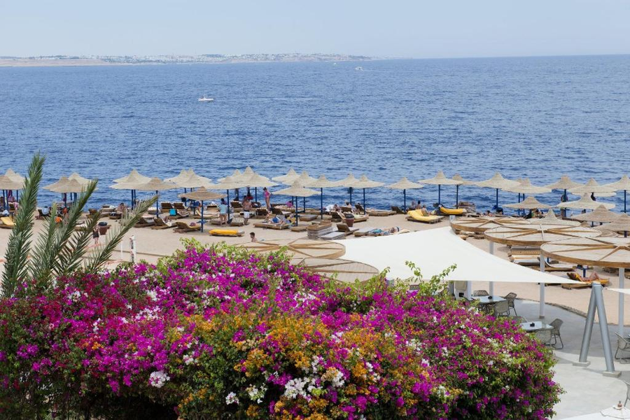 Amphoras Blu Ultra-Ai Adults Friendly,Sharm El-Sheikh>>Sharm El Sheikh,4 star