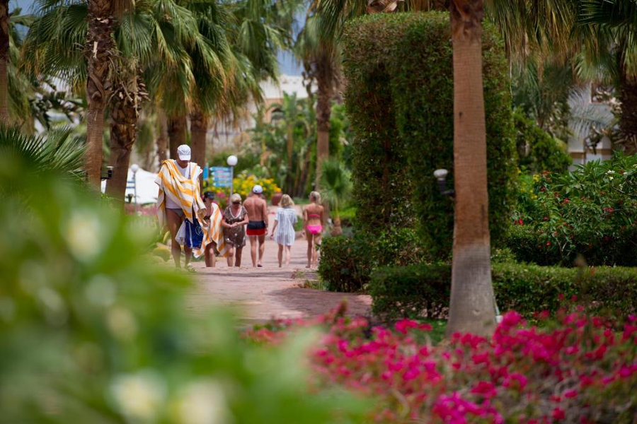 Amphoras Blu Ultra-Ai Adults Friendly,Sharm El-Sheikh>>Sharm El Sheikh,4 star