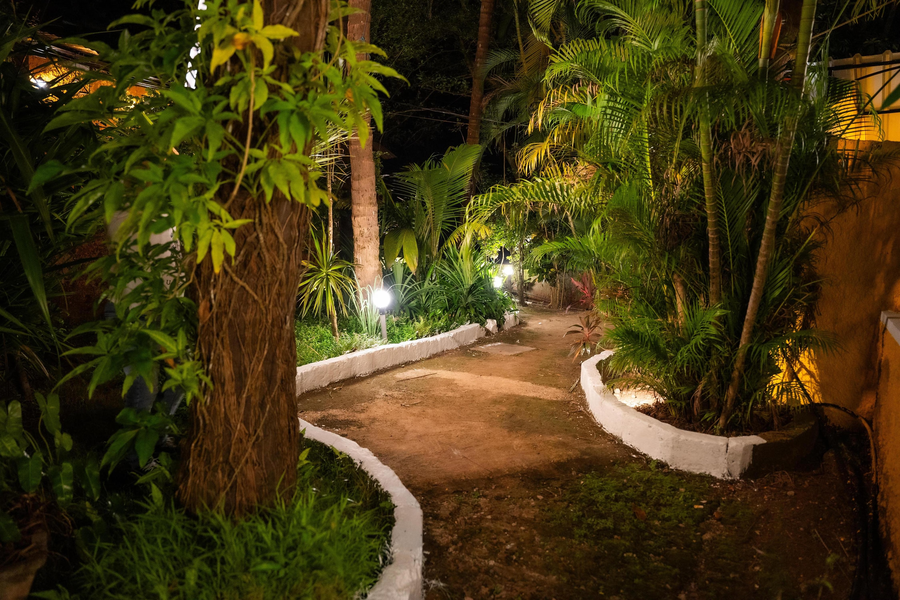 palm beach lifestyle resort managed by anusaksh