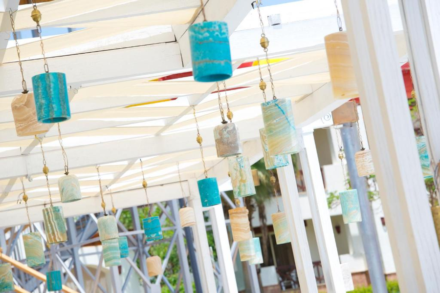 amphoras aqua adults friendly