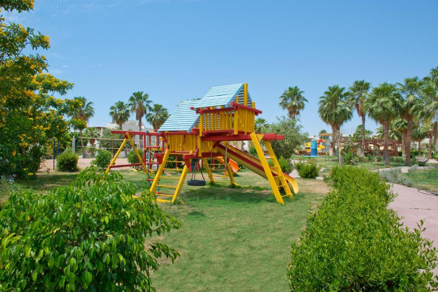 amphoras aqua adults friendly