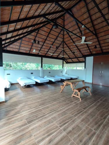 coorg jungle mist