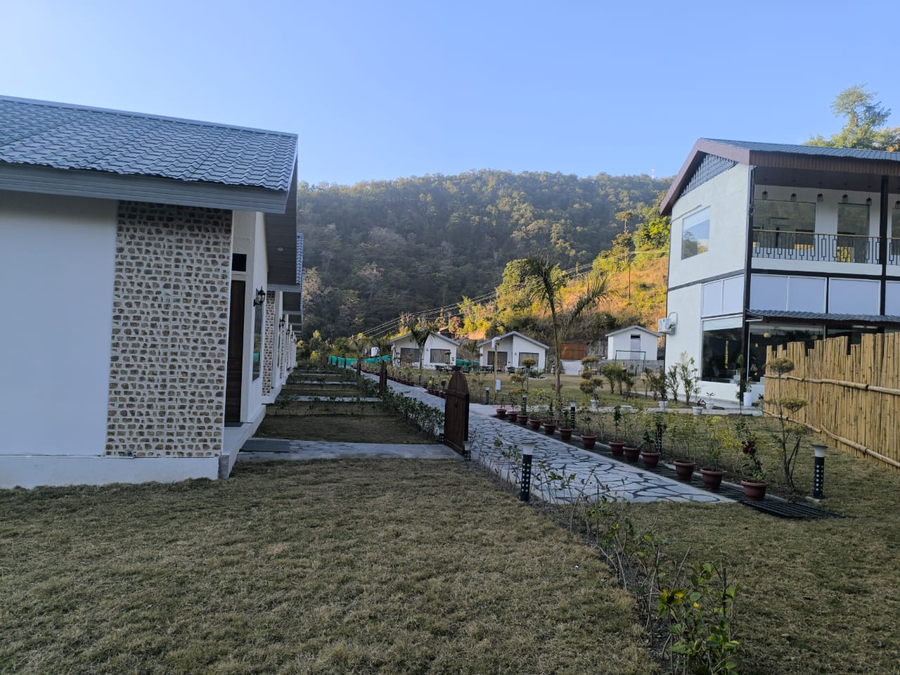 the jj corbett bliss