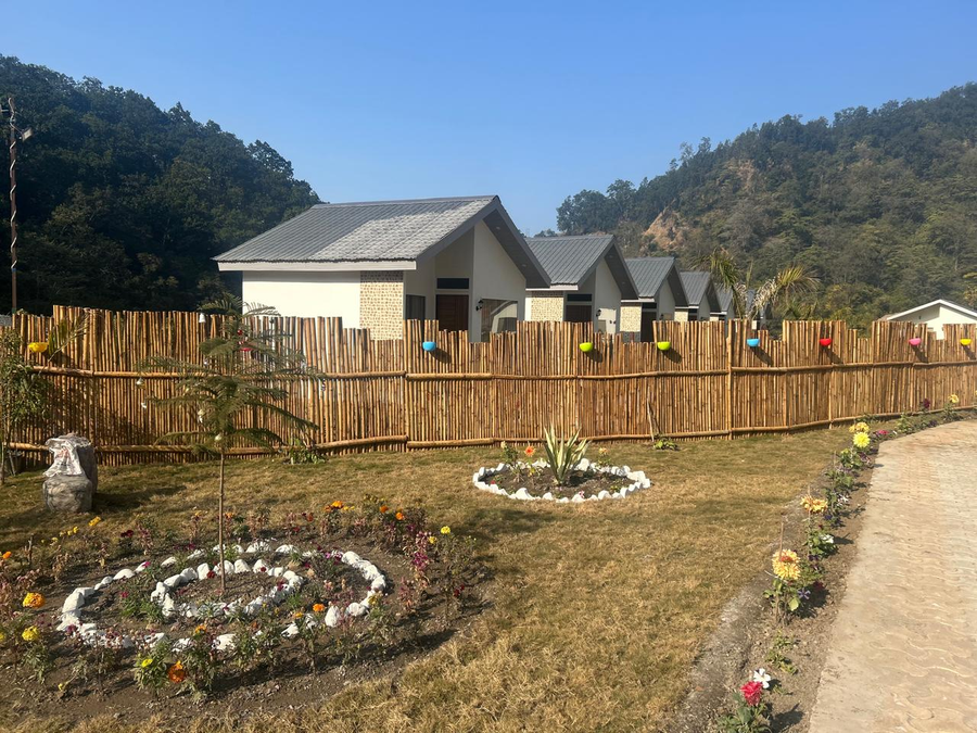 the jj corbett bliss