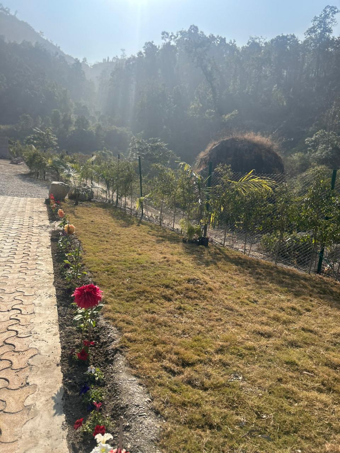 the jj corbett bliss