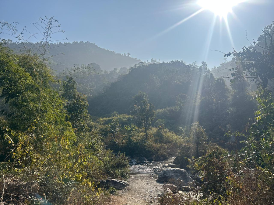 the jj corbett bliss