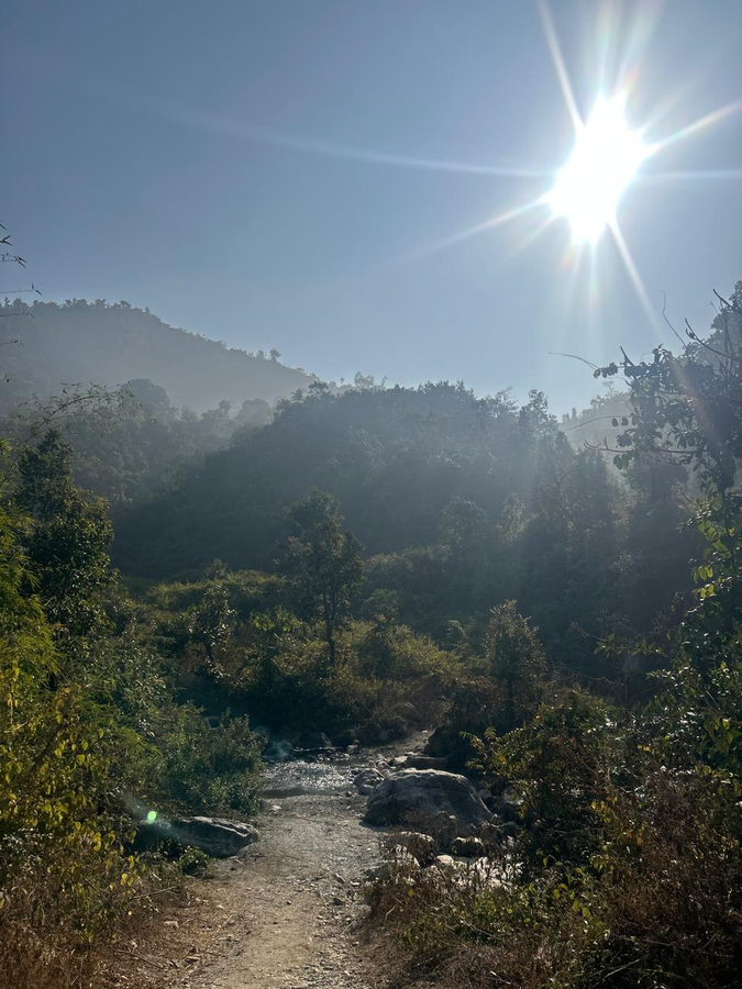 the jj corbett bliss