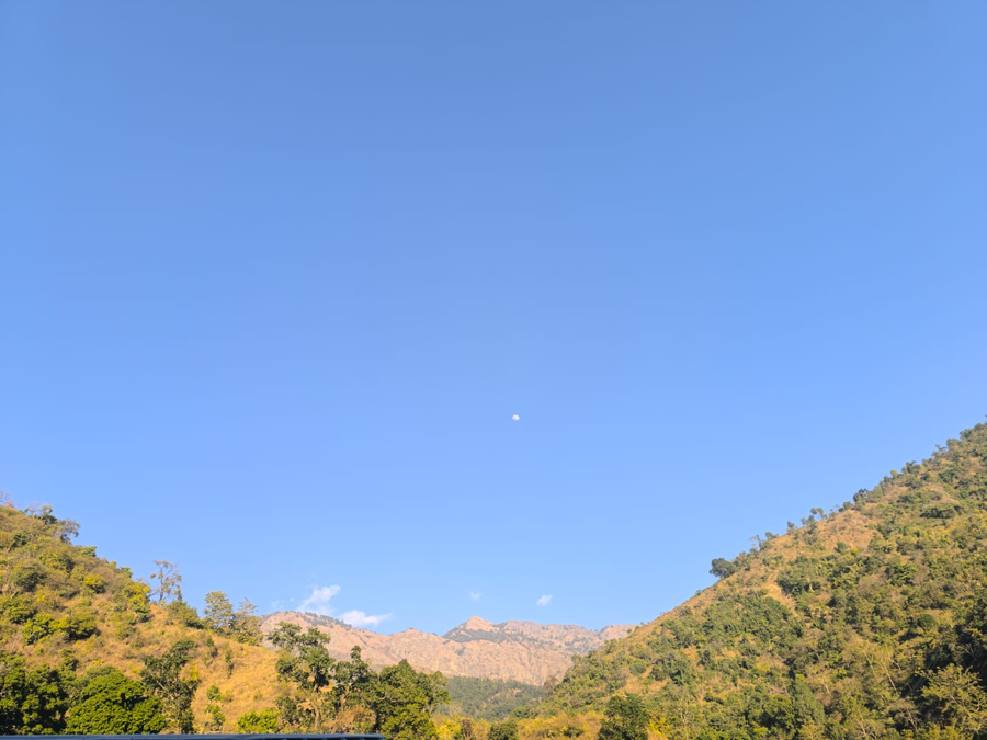 the jj corbett bliss