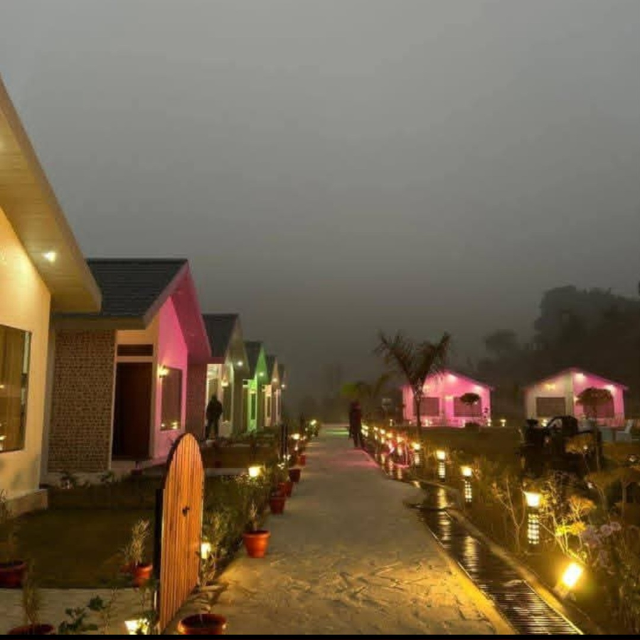 the jj corbett bliss