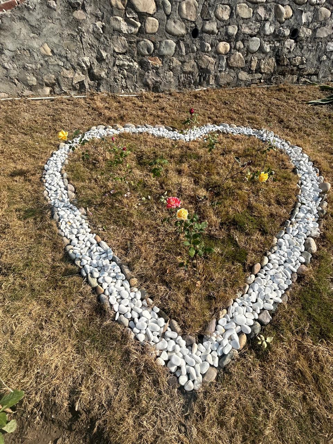 the jj corbett bliss