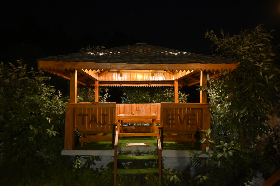 the wild planet treehouses and cottages