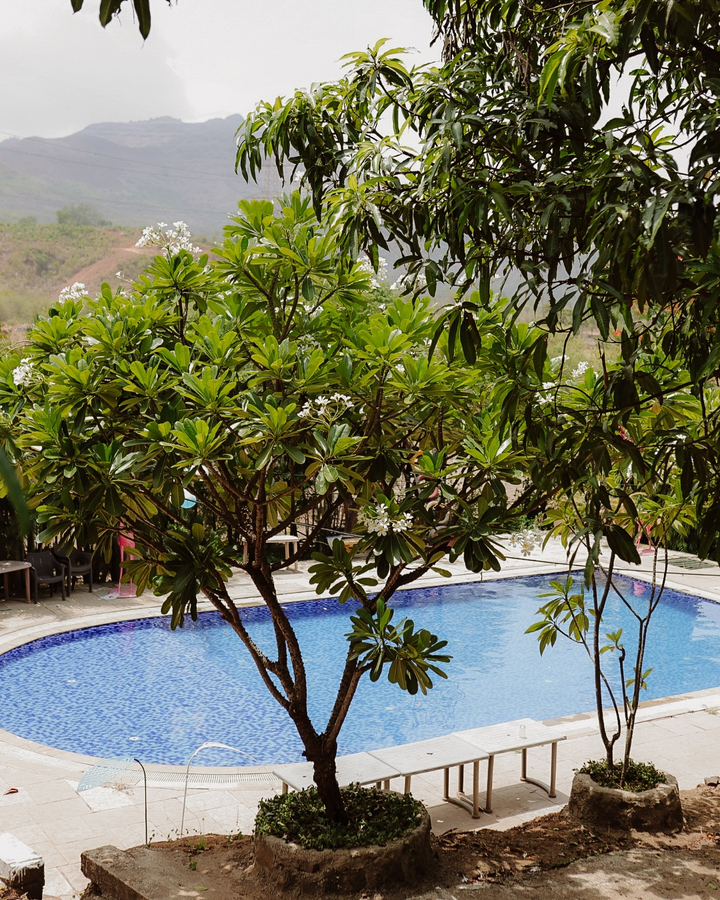 green view resort