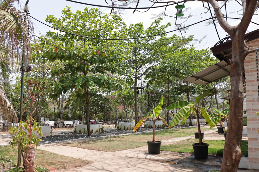 green view resort