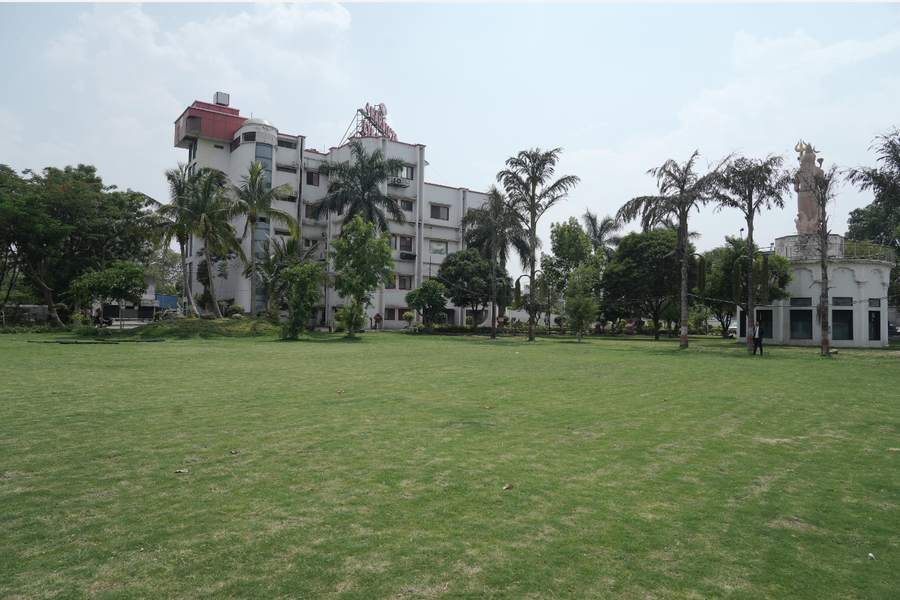 papaya tree hotel and resort