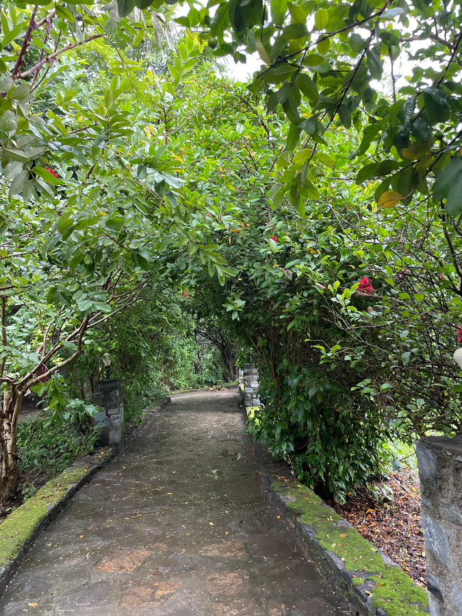 amrai valley resort