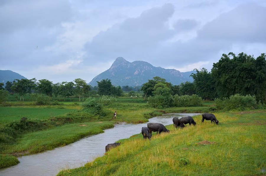 hotel sonar bangla ajodhya hill