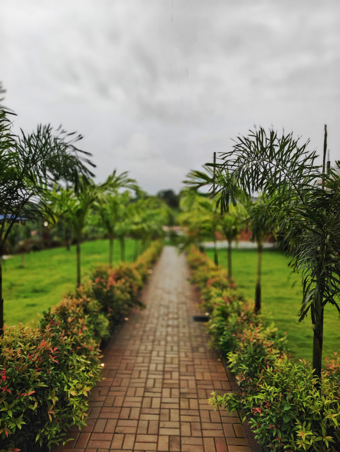 the clouds resort goa arambol