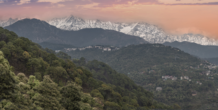 echor mandara tree villa dharamshala