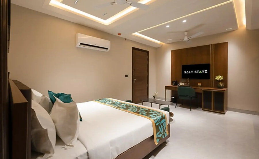 saltstayz premier naraina central delhi