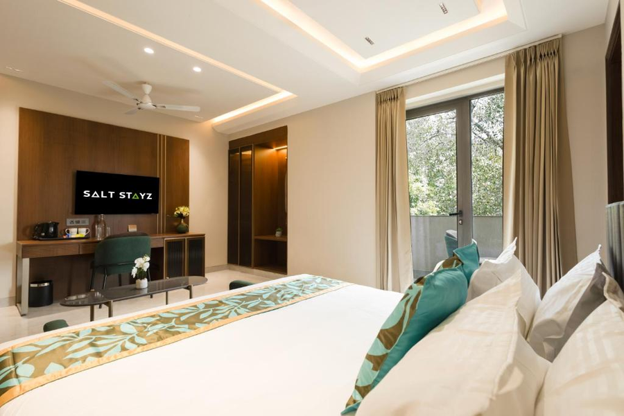 saltstayz premier naraina central delhi