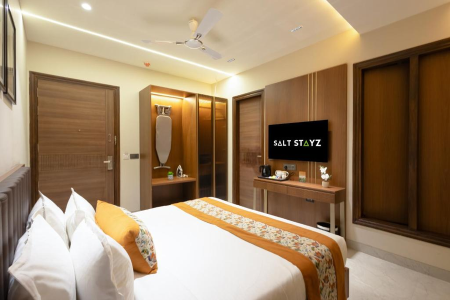 saltstayz premier naraina central delhi