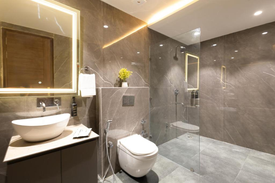 saltstayz premier naraina central delhi