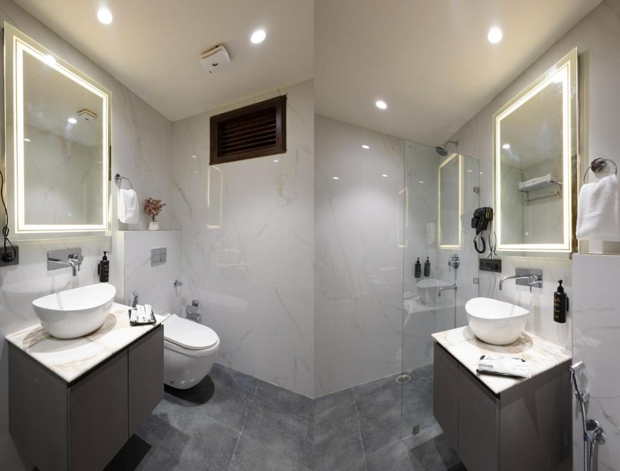saltstayz premier naraina central delhi
