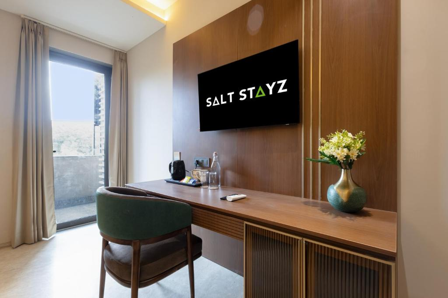 saltstayz premier naraina central delhi