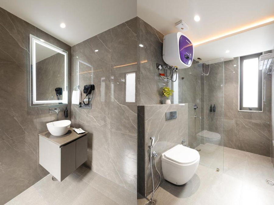 saltstayz premier naraina central delhi