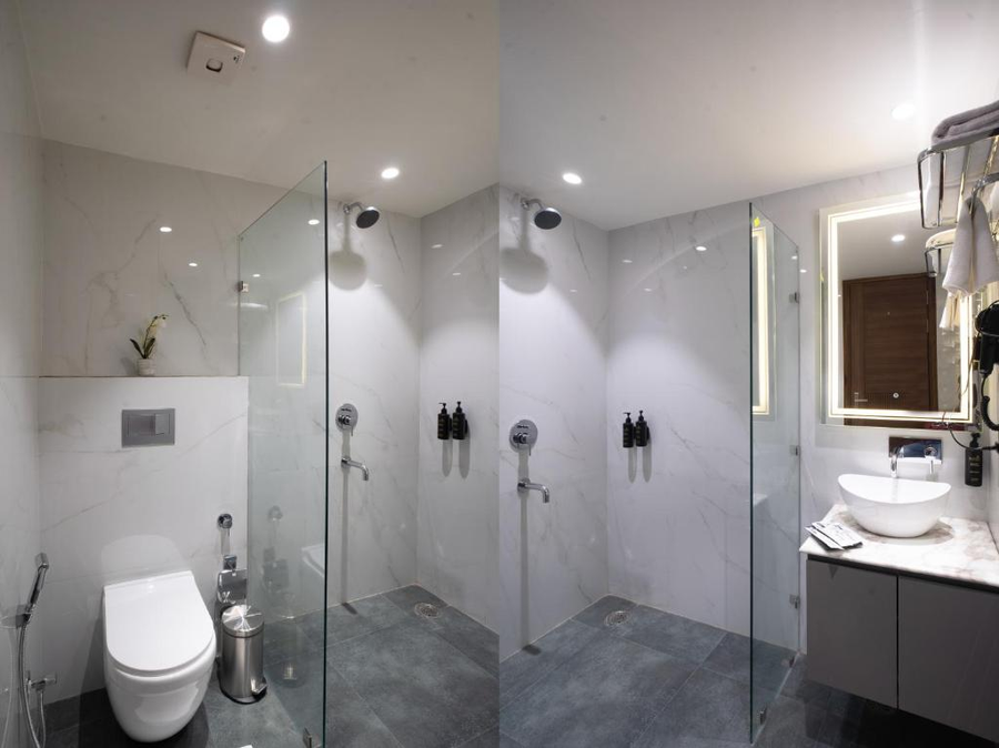 saltstayz premier naraina central delhi