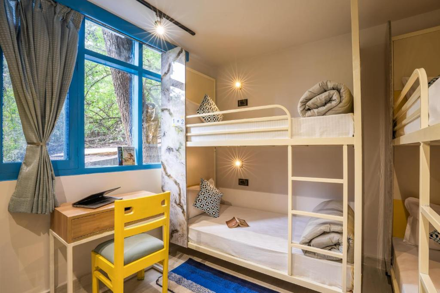 shalom backpackers shimla