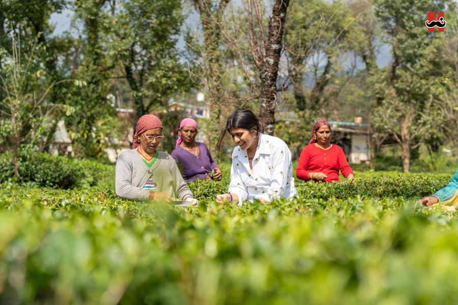 moustache hostel bir