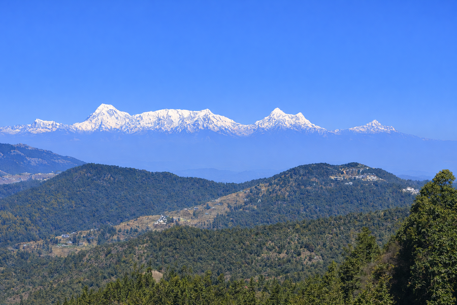 kafal pako resort himalayan view resort in mukteshwar