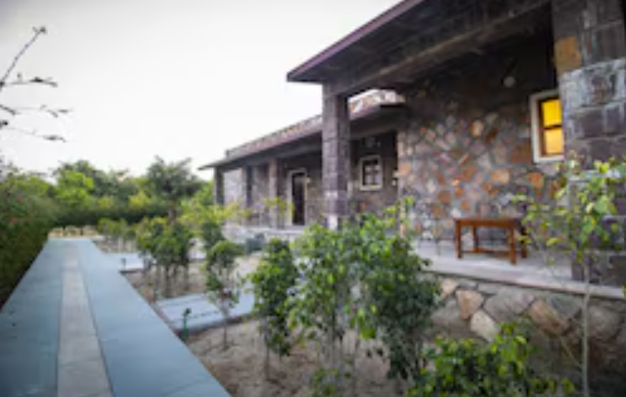 Tiger Kingdom, Ranthambore- A Club Mahindra Associate Resort,Sawai Madhopur>>Jaipur,4 star