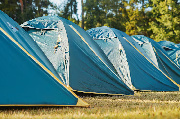 the natures nest resort