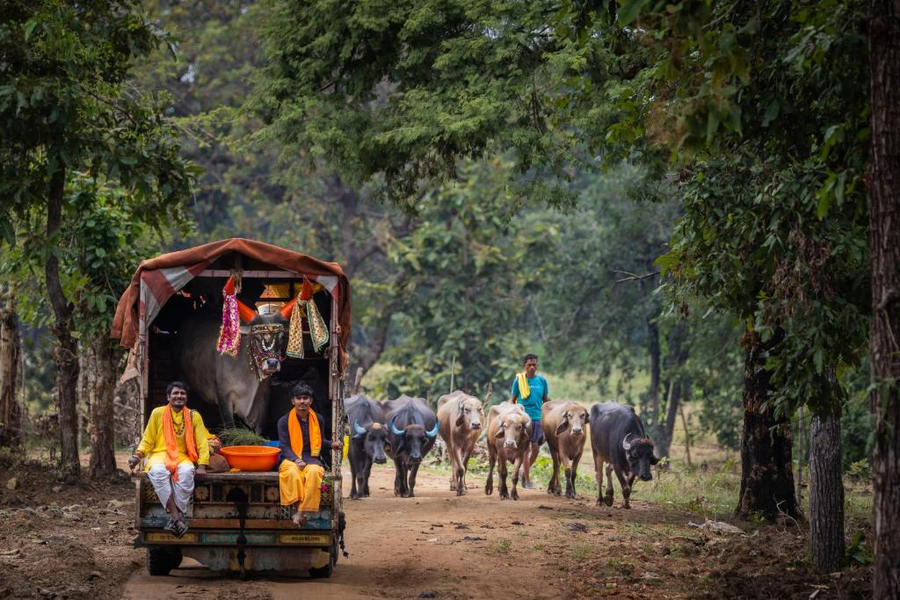 the forest chapter by sayaji madhai