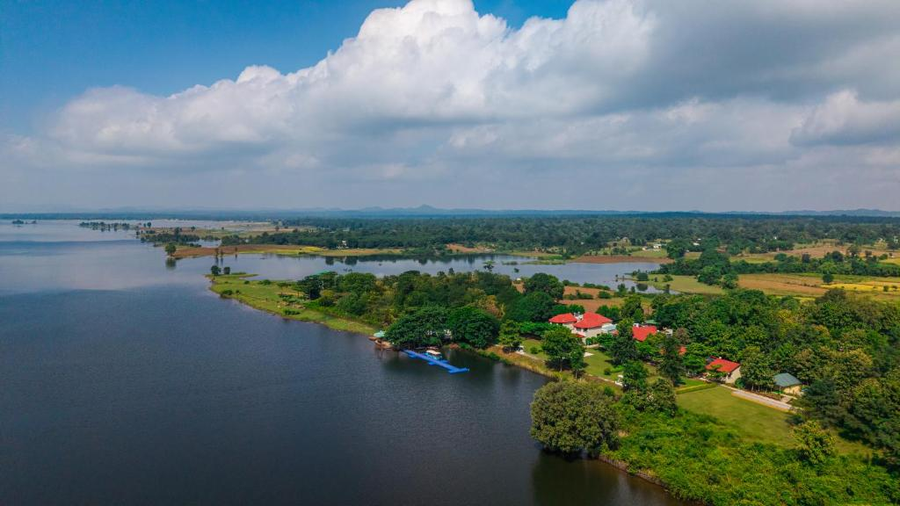 the forest chapter by sayaji madhai