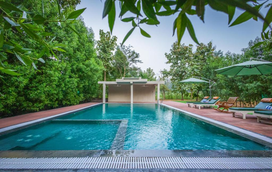 the forest chapter by sayaji madhai