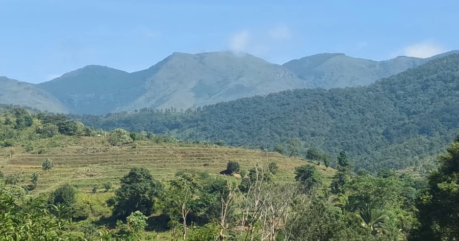 blue hills view
