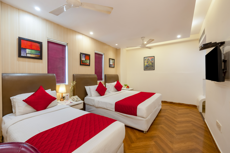 hotel picasso prive naraina delhi