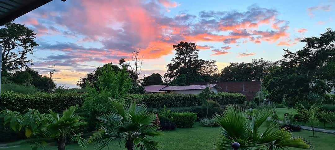 sunday alaya resort corbett