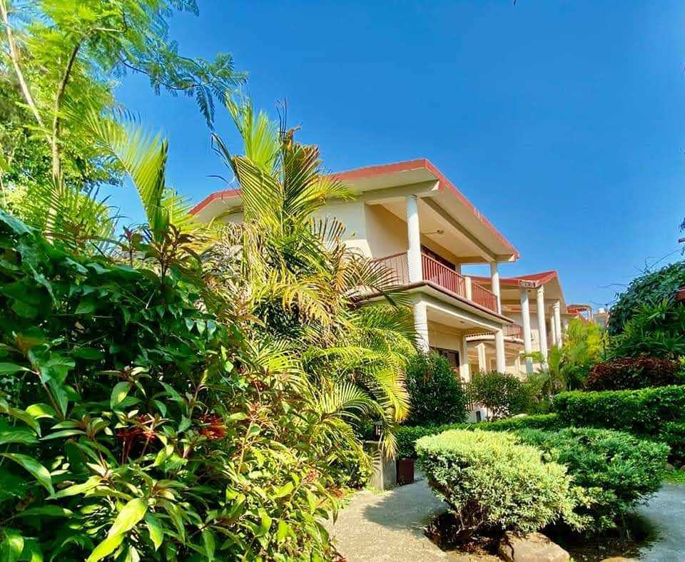 sunday alaya resort corbett