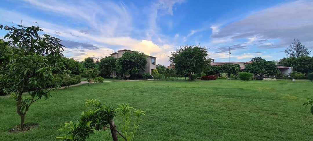 sunday alaya resort corbett